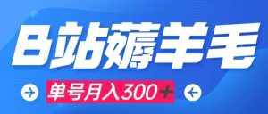 （7771期）b站薅羊毛，0门槛提现，单号每月300＋可矩阵操作-泰戈创艺资源库
