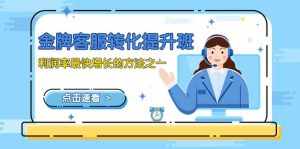 （8233期）金牌客服-转化提升班，利润率最快增长的方法之一（9节课）-泰戈创艺资源库