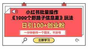 （7676期）小红书批量操作《1000个野路子信息差》玩法 日引100+创业粉 一分钟一个图文-泰戈创艺资源库