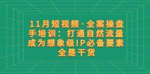 (8182期)11月短视频·全案操盘手培训:打通自然流量 成为想象级IP必备要素 全是干货-泰戈创艺资源库