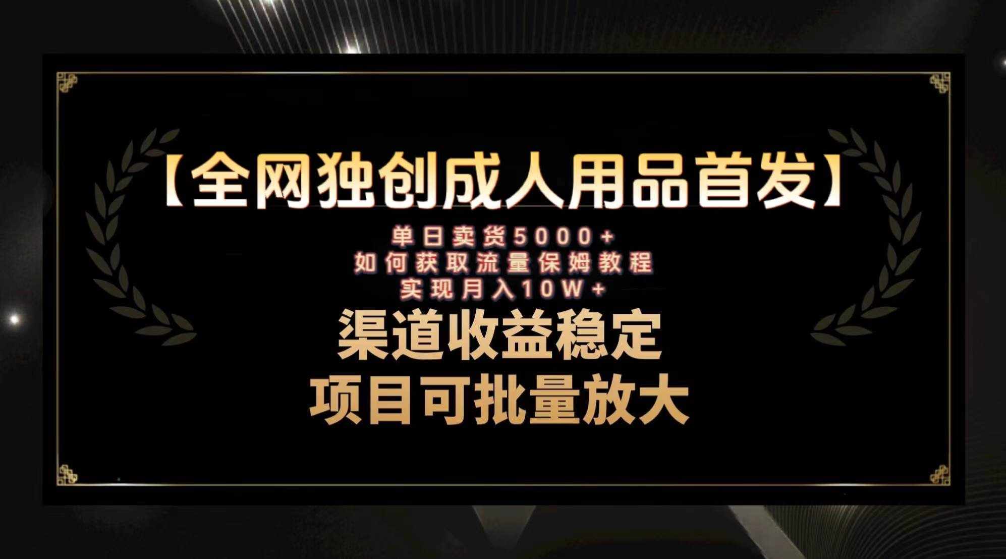 （8128期）最新全网独创首发，成人用品赛道引流获客，月入10w保姆级教程-泰戈创艺资源库