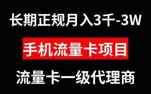 (8311期)手机流量卡代理月入3000-3W长期正规项目-泰戈创艺资源库