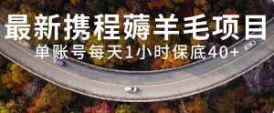 (7995期)最新携程薅羊毛项目,单账号每天1小时保底收益40+,可矩阵操作-泰戈创艺资源库