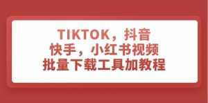 （7714期）TIKTOK，抖音，快手，小红书视频批量下载工具加教程-泰戈创艺资源库