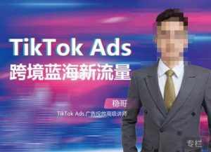稳哥·如何投出高ROI的TikTok广告,开拓独立站卖家流量新蓝海-泰戈创艺资源库