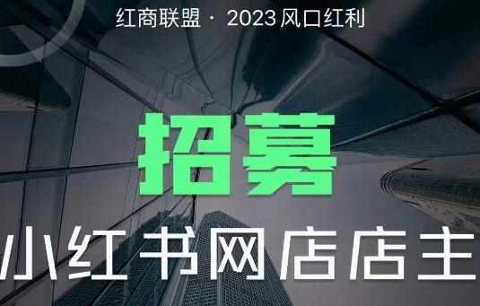红商联盟·小红书无货源电商1.0，0粉丝无需囤货，小白也可以轻松上手的无货源项目-泰戈创艺资源库