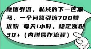 怎么搞精准创业粉？微信新赛道，每天一小时，利用Ai一个问答日引100精准粉-泰戈创艺资源库
