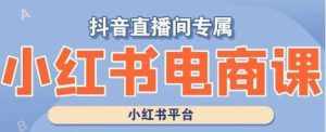 小红书电商高级运营课程，实操教学+案例分析-泰戈创艺资源库