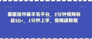 最新国外薅羊毛平台,2分钟视频收益50+,1分钟上手,保姆级教程【揭秘】-泰戈创艺资源库
