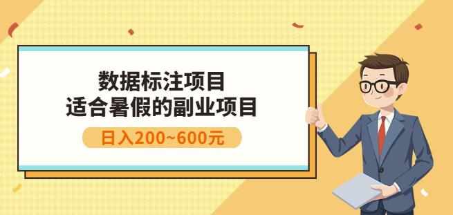 副业赚钱：人工智能数据标注项目，简单易上手，小白也能日入200+-泰戈创艺资源库