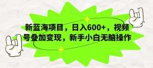 新蓝海项目，日入600+，视频号叠加变现，新手小白无脑操作【揭秘】-泰戈创艺资源库