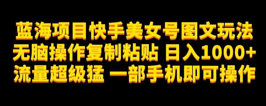 蓝海项目快手美女号图文玩法,无脑操作复制粘贴,日入1000+流量超级猛一部手机即可操作【揭秘】-泰戈创艺资源库
