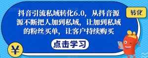 抖音引流私域转化6.0，从抖音源源不断把人加到私域，让加到私域的粉丝买单，让客户持续购买-泰戈创艺资源库