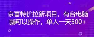 京喜特价拉新新玩法，有台电脑就可以操作，单人一天500+【揭秘】-泰戈创艺资源库