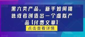 黑六类虚拟产品，新手如何挑选或者创造出一个虚拟产品【付费文章】-泰戈创艺资源库