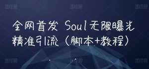 全网首发 Soul无限曝光精准引流(脚本+教程)-泰戈创艺资源库