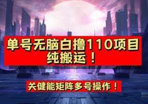 9月全网首发，单号直接白撸110！可多号操作，无脑搬运复制粘贴【揭秘】-泰戈创艺资源库