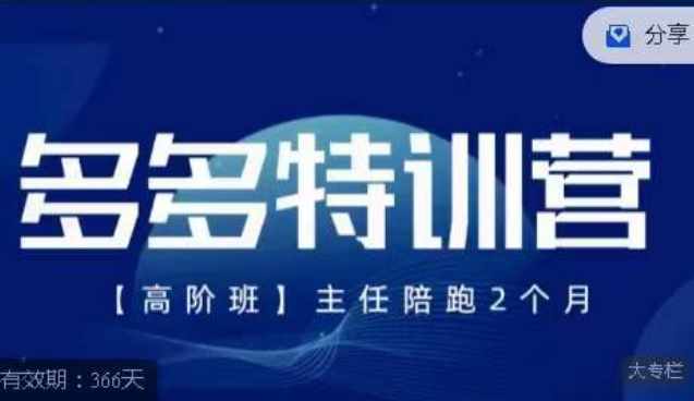 纪主任·多多特训营高阶班【9月13日更新】，拼多多最新玩法技巧落地实操-泰戈创艺资源库