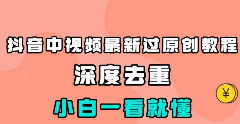 抖音中视频最新过原创教程，深度去重，小白一看就懂【揭秘】-泰戈创艺资源库