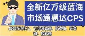 全新亿万级蓝海市场通惠达cps,最强管道收入,让你睡着赚、躺着赚、玩着赚、轻松赚【揭秘】-泰戈创艺资源库