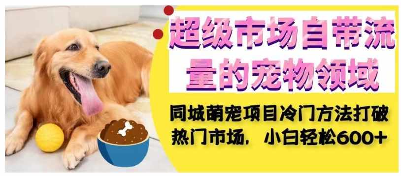 超级市场自带流量的宠物领域，同城萌宠项目冷门方法打破热门市场，小白轻松600+-泰戈创艺资源库