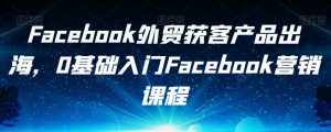 Facebook外贸获客产品出海,0基础入门Facebook营销课程-泰戈创艺资源库
