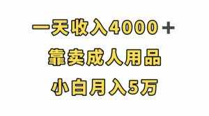 一天收入4000+,靠卖成人用品,小白轻松月入5万【揭秘】-泰戈创艺资源库