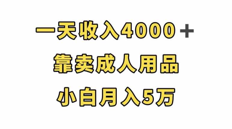 一天收入4000+，靠卖成人用品，小白轻松月入5万【揭秘】-泰戈创艺资源库