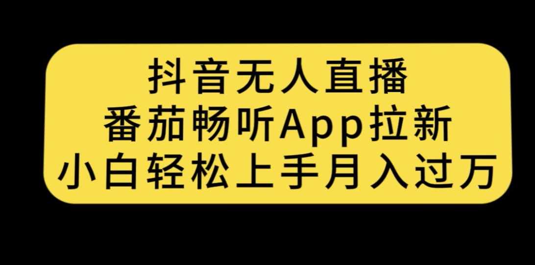 抖音无人直播，番茄畅听APP拉新，小白轻松上手月入过万-泰戈创艺资源库