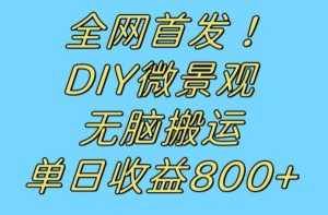 全网首发冷门赛道！DIY微景观，无脑搬运视频，日收益800+【揭秘】-泰戈创艺资源库