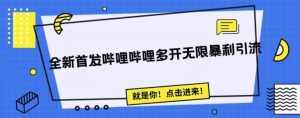 全新首发哔哩哔哩无限多开精准暴利引流，可无限多开，抗封首发精品脚本-泰戈创艺资源库
