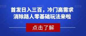 首发日入三百,冷门高需求消除路人零基础玩法来啦【揭秘】-泰戈创艺资源库
