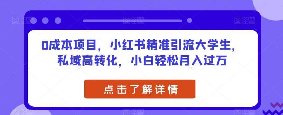 0成本项目，小红书精准引流大学生，私域高转化，小白轻松月入过万【揭秘】-泰戈创艺资源库