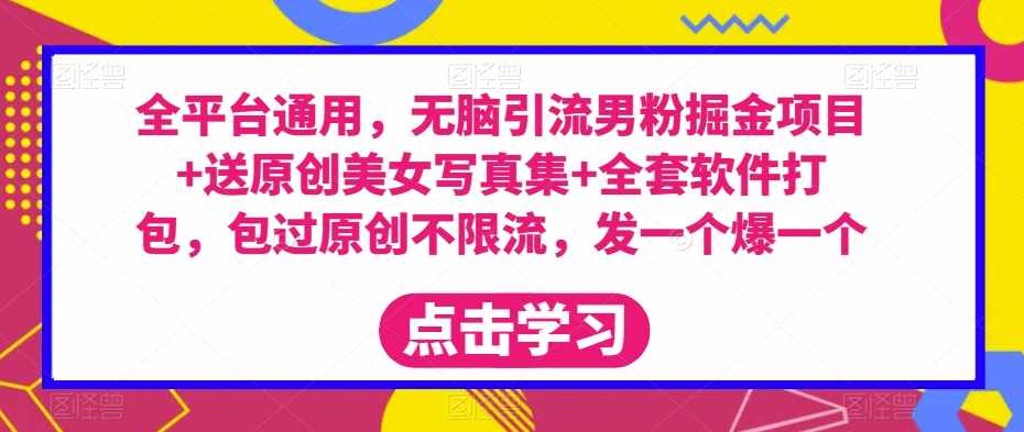 全平台通用,无脑引流男粉掘金项目+送原创美女写真集+全套软件打包,包过原创不限流,发一个爆一个【揭秘】-泰戈创艺资源库