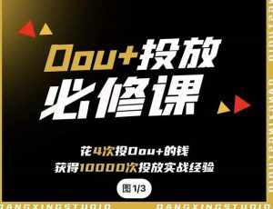 代同学DOU+投放训练营,用付费流量撬动大额自然流量,过得超额变现转化-泰戈创艺资源库