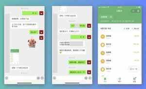 祖小来-简单易复制,月收益1万+的虚拟产品项目,实战玩法详解(视频教程+文档)-泰戈创艺资源库