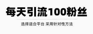 只需要做好这几步，就能让你每天轻松获得100+精准粉丝的方法！【视频教程】-泰戈创艺资源库