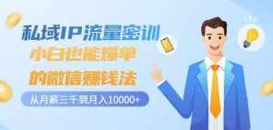 私域IP流量密训：小白也能爆单的微信赚钱法，从月薪三千到月入10000+-泰戈创艺资源库