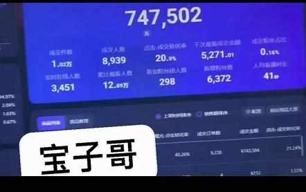 宝子哥无人直播，半无人直播，Obs+伴侣玩法，快速打标签+养鱼-泰戈创艺资源库