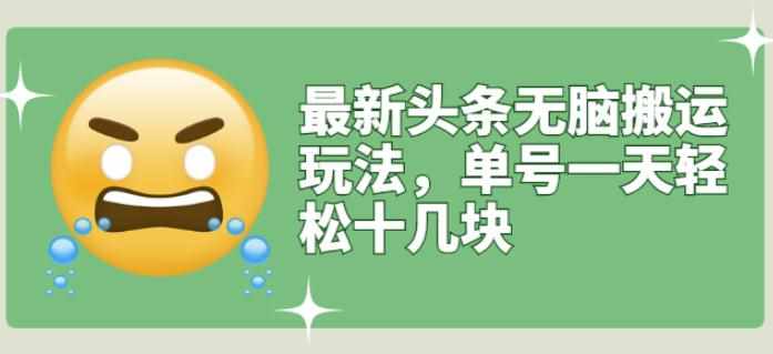 最新头条无脑搬运玩法，单号一天轻松十几块【视频教程+搬运软件】-泰戈创艺资源库