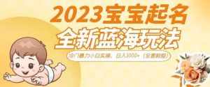 2023宝宝起名全新蓝海玩法，冷门暴力小白实操，日入1000+（全套教程）【揭秘】-泰戈创艺资源库