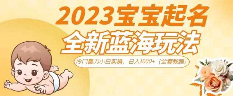 2023宝宝起名全新蓝海玩法，冷门暴力小白实操，日入1000+（全套教程）【揭秘】-泰戈创艺资源库