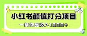 最新蓝海项目,小红书颜值打分项目,一条作品收入1000+【揭秘】-泰戈创艺资源库