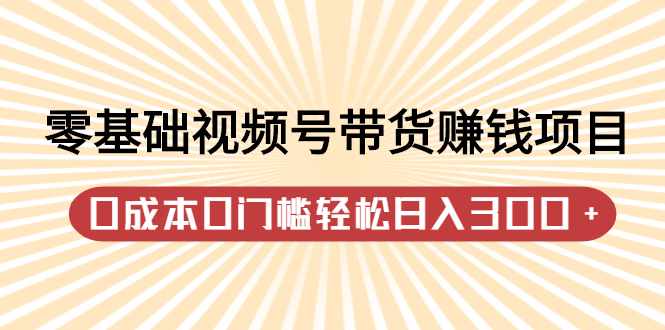 零基础视频号带货赚钱项目，0成本0门槛轻松日入300+【视频教程】-泰戈创艺资源库