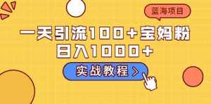 一天引流100+宝妈粉，日入1000+的蓝海项目（实战教程）-泰戈创艺资源库