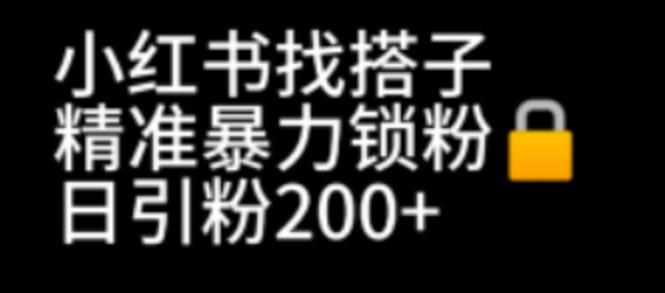 小红书找搭子暴力精准锁粉+引流日引200+精准粉-泰戈创艺资源库
