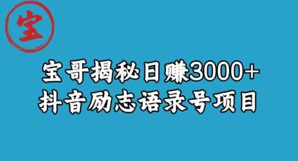 宝哥揭秘日赚3000+抖音励志语录号短视频变现项目-泰戈创艺资源库