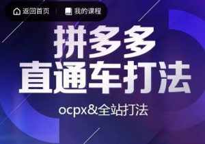 互力·拼多多直通车打法，ocpx&全站打法-泰戈创艺资源库