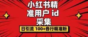 小白都会用的小红书精准用户id采集器日引流精准粉可达到100+（软件+教程）-泰戈创艺资源库