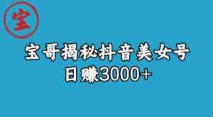 宝哥揭秘抖音美女号玩法,日赚3000+【揭秘】-泰戈创艺资源库